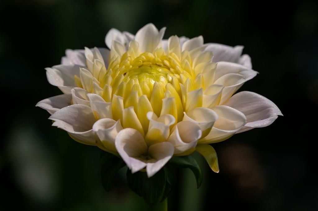 High resolution monitor showcasing crisp text and images